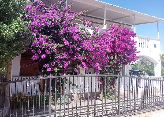 Marijan Apartament Drage